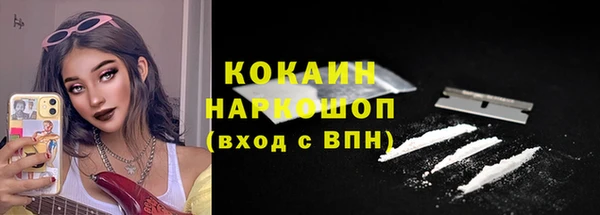 тгк Алексин
