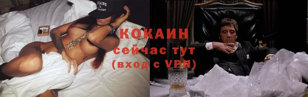 тгк Алексин