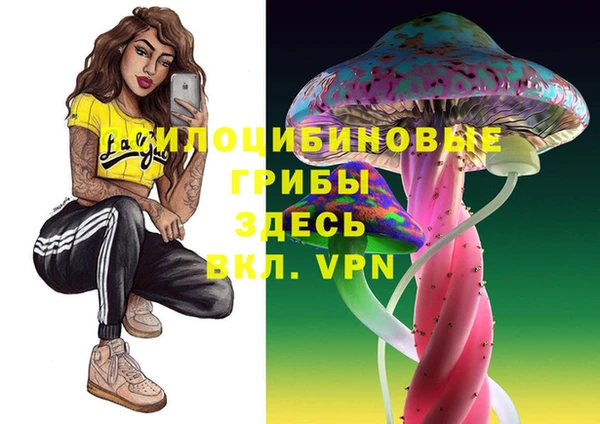 альфа пвп Алексеевка