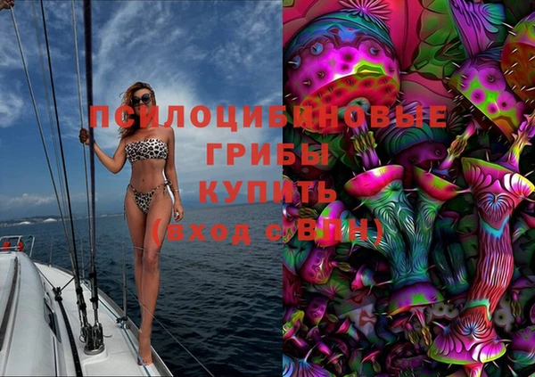 тгк Алексин