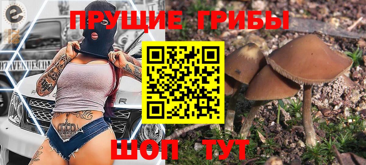 Петрозаводск  Галлюциногенные грибы GOLDEN TEACHER  Вход с VPN 