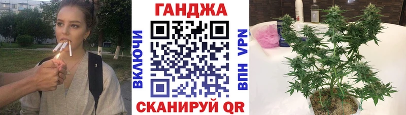 OMG рабочий сайт  нарко площадка наркотические препараты  Канабис план  Петрозаводск 
